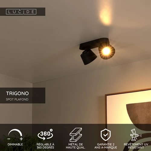 Lucide TRIGONO - Spot plafond - 2xGU10 - Noir - USP